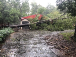 Hurricane Florence did some damage before she left Charlotte